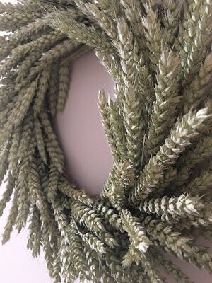 Dried Wheat Wreath